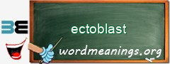 WordMeaning blackboard for ectoblast